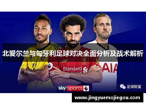 北爱尔兰与匈牙利足球对决全面分析及战术解析