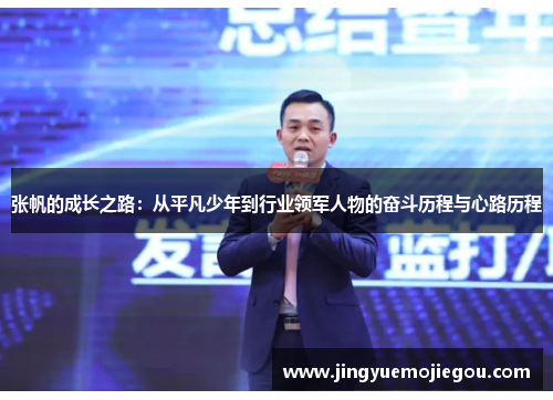 张帆的成长之路：从平凡少年到行业领军人物的奋斗历程与心路历程